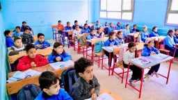 أخبار مصر