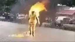 أخبار مصر