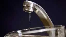 أخبار مصر