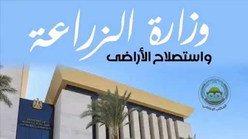 أخبار مصر
