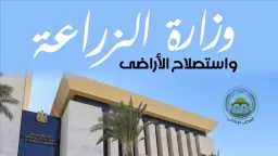 أخبار مصر