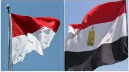 أخبار مصر