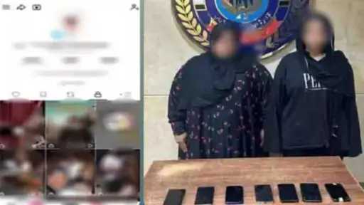أخبار مصر