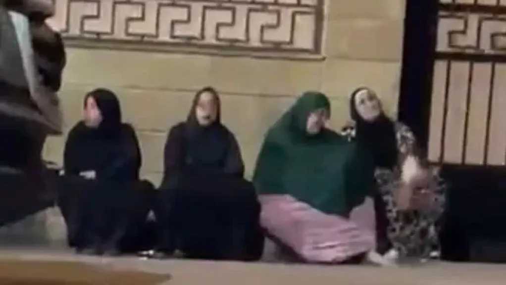 أخبار مصر