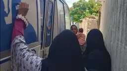 أخبار مصر