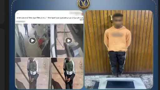 أخبار مصر