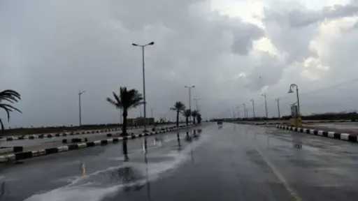أخبار مصر