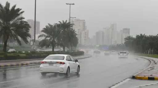 أخبار مصر