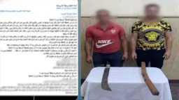 أخبار مصر