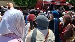أخبار مصر