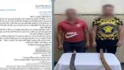 أخبار مصر