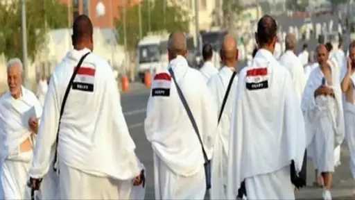 أخبار مصر