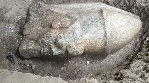 أخبار مصر