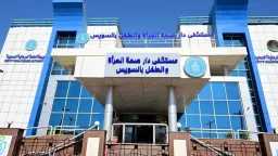 أخبار مصر