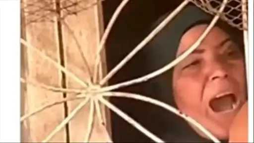أخبار مصر