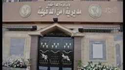 أخبار مصر