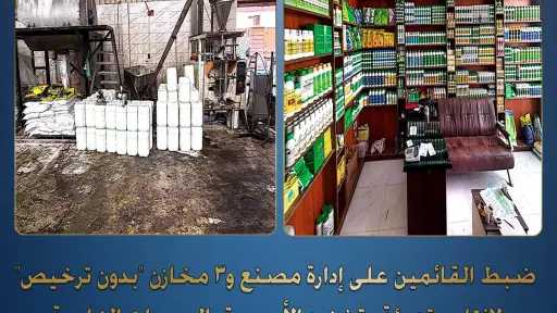 أخبار مصر