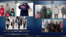 أخبار مصر