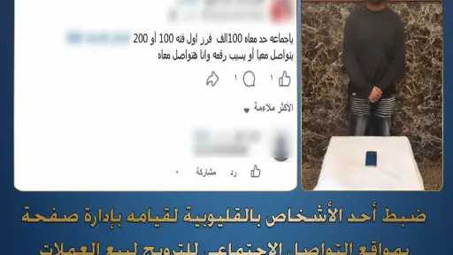 أخبار مصر