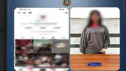 أخبار مصر