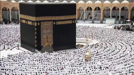 أخبار مصر