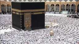 أخبار مصر