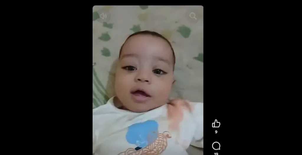 أخبار مصر