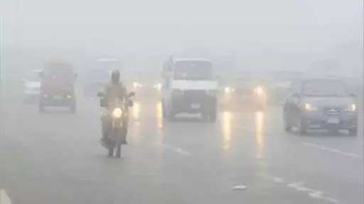 أخبار مصر