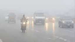 أخبار مصر