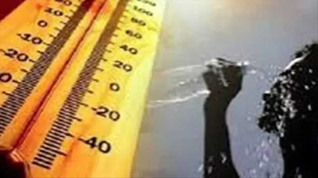 أخبار مصر