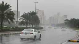 أخبار مصر
