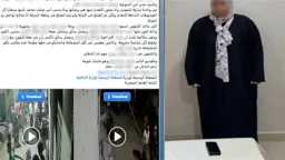 أخبار مصر