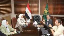أخبار مصر