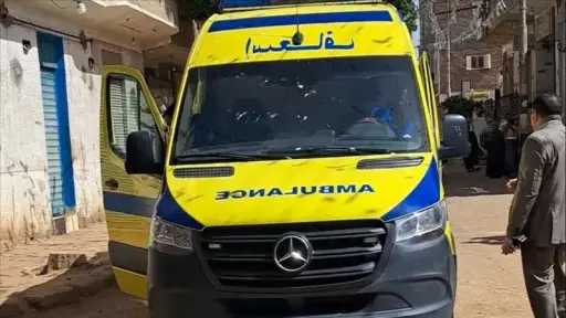 أخبار مصر