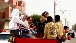 أخبار مصر
