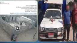 أخبار مصر