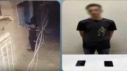 أخبار مصر