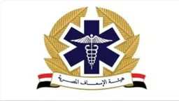 أخبار مصر