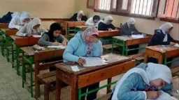 أخبار مصر