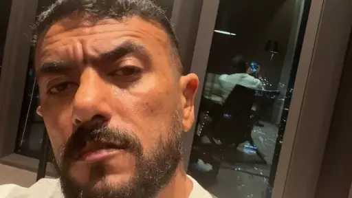 فن