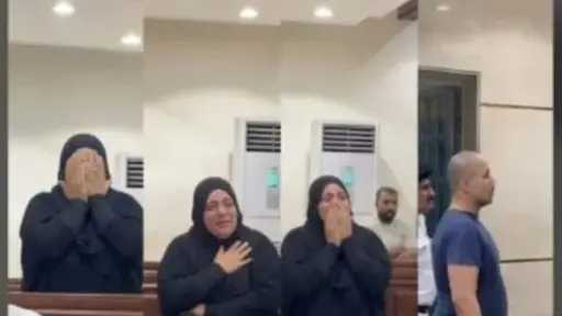 أخبار مصر