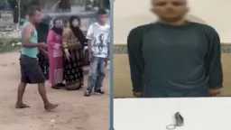 أخبار مصر