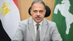 أخبار مصر