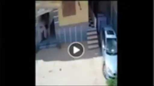 أخبار مصر