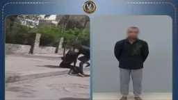 أخبار مصر