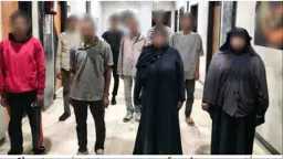 أخبار مصر
