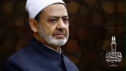 أخبار مصر