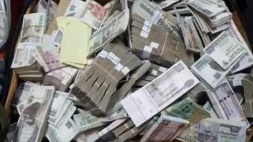 أخبار مصر