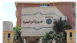 أخبار مصر