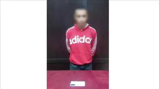 أخبار مصر